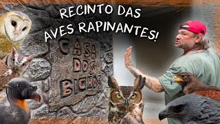 ATUALIZAÇÃO DA REFORMA: RETA FINAL DO RECINTO DAS AVES DE RAPINA | A CASA DOS BICHOS