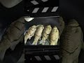 鯽魚湯怎么樣才能做到湯汁奶白 鮮美濃郁 營養又補鈣 美食 做飯 中餐 家常菜 菜譜 鯽魚湯怎么樣才能做到湯汁奶白 鮮美濃郁 營養又補鈣 美食 做飯 中餐 家常菜 菜譜