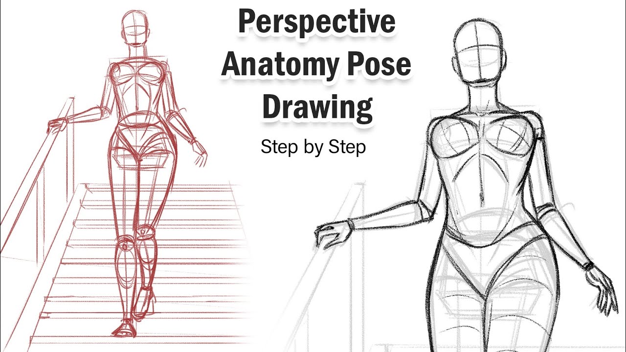 Human Anatomy Poses Projects :: Photos, videos, logos, illustrations and  branding :: Behance