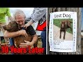 Top 5 LOST DOGS FOUND &amp; REUNITED WITH THEIR OWNERS! Boy Finds Lost Dog After 10 Years, Happy Dog