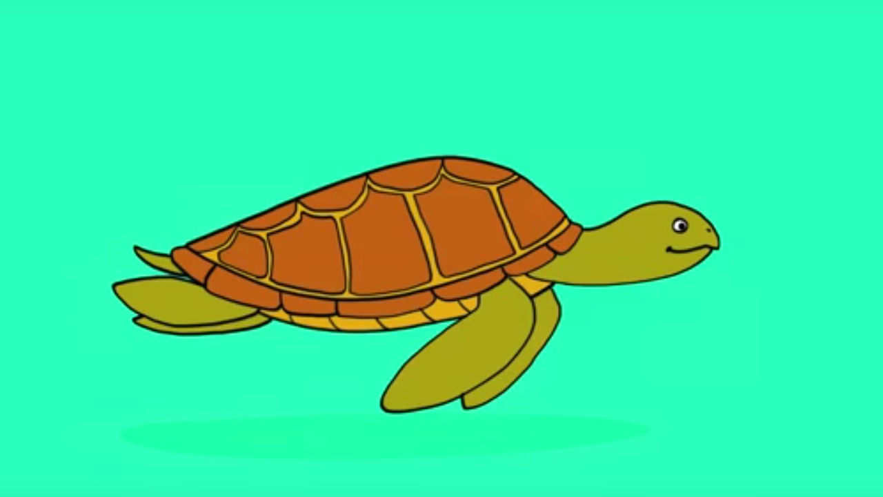 Apprendre à Dessiner Une Tortue De Mer