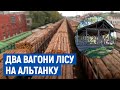 Два вагони лісу на альтанку: на Новгород-Сіверщині майстра лісгоспу підозрюють у списанні деревини