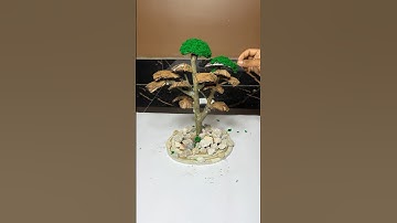 Creative Miniature Tree Craft using Coconut Shells #short #reel #youtubeshort #viral #trending #diy