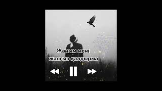 Жаным мені жалғыз қалдырма (remix)