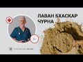 Лаван бхаскар чурна - ваш помощник в пищеварении