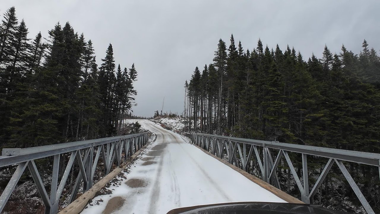 Снег идёт, приключения на дороге в лесу Ньюфаундленда