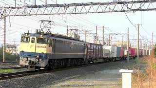 《JR貨物》 EF65 2091号機が牽引の74レ貨物列車を撮影です(R4.4.19)