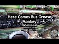 4101 10-13-2019 Here Comes the Bus Grease Monkey