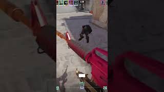 fast ace lmk what you think (: #csgo #wtfcsgo #pogchamp #gaming #csgoawp #cs2 like and sub please (: