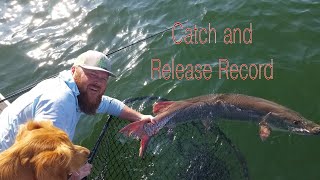 Minnesota State Record Muskie Story! (Catch and Release)