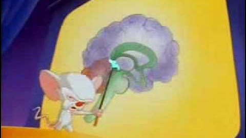 parts of the brain (by pinky and the Brain) with lyrics