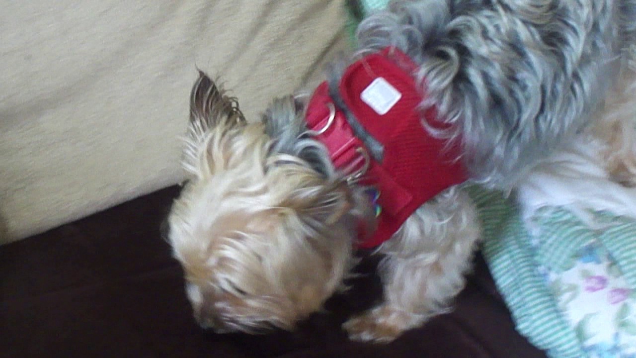 David Easter Interview