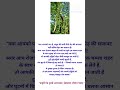 #Ayurveda #HealthTips #NaturalRemedy #BabulKeFayde #JointPainRelief #BoneStrength #GhutnoKaDard