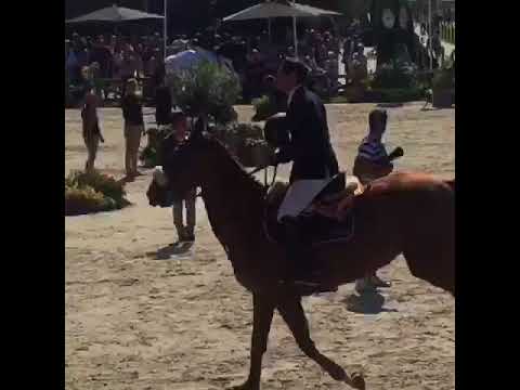 Remise des prix CSI *** Brussels Stephex Masters