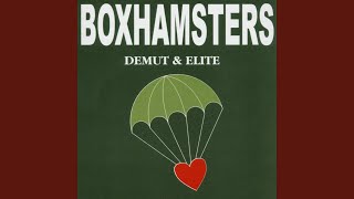Video thumbnail of "Boxhamsters - Laternenlied"