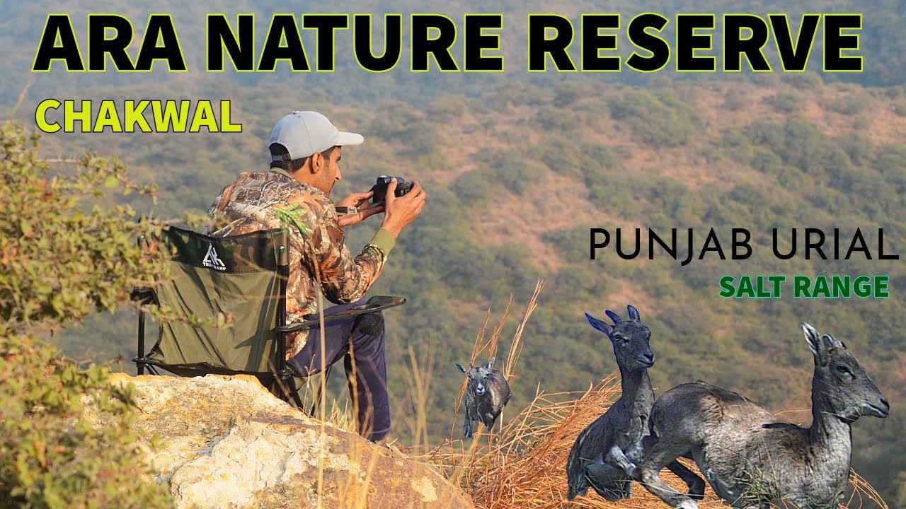 دوستوں کو اڑیال دیکھائے۔۔|| Best place for tourist in chakwal