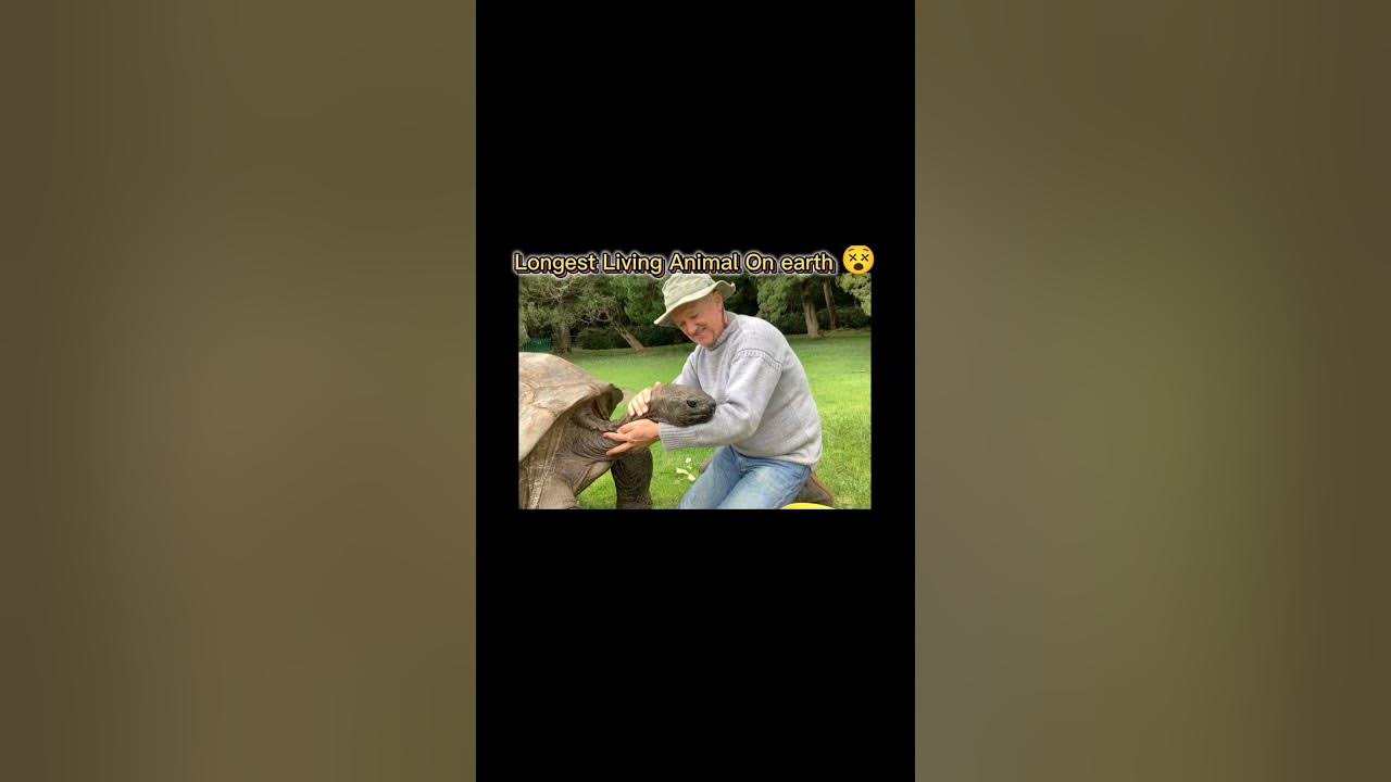 longest-living-animal-on-the-earth-fact-guru-amazing-facts