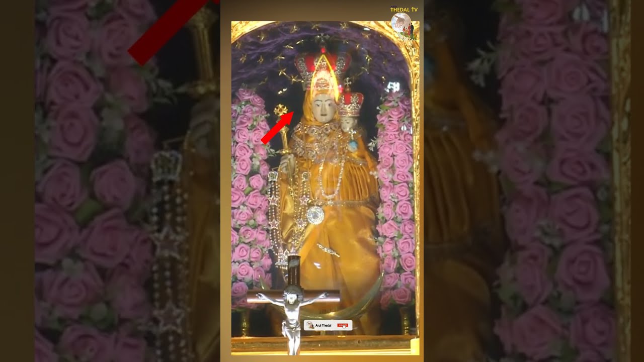     miracle  mary  madha  velankanni   jesus   velankannimadha