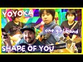 Multi-Instrumentalist REACTS to Yoyoka 'Shape of You' One Girl Band | w/ one man cover