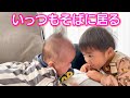 いつも弟のそばに居るお兄ちゃんｗ