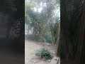 #so_high