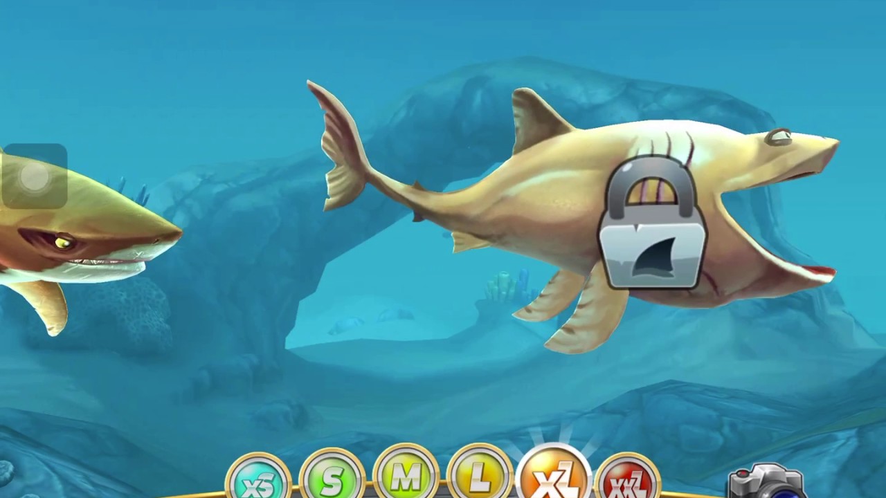 Игра shark взломка. Акулы симулятор hungry Shark Evolution. Хангри Шарк ворлд взлмка. Взломанная игра Эволюция акул hungry Shark. Блуп Хангри Шарк.