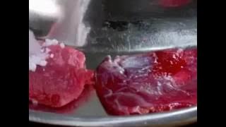 Ngeri sabu membakar daging sapi