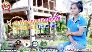 ດາວດອກຫຍ້າ-ดาวดอกหย้า-dav dok ja/ມຸກພະຈັນ ເມືອງປາກຊ່ອງ 【MUSIC VIDEO】