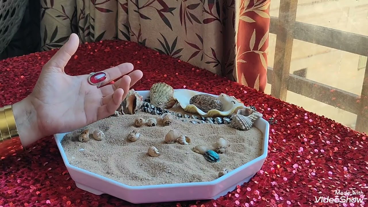 برج الثور بضربة الودع 👌 اسرار قوية بالحروف والابراج 💪 علاقتك مع حبيبك 🫂 سفر ✈️ حب 🫂 زواج 👰 تعويض ربا