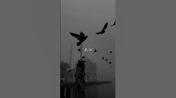 وخيار روحي صار انت 