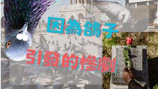 失眠了嗎？專為你準備的睡前故事！｜生活中的蝴蝶效應往往始於一些小事，同時同地不同人的故事觀。  #睡前故事 #睡眠 #故事 #失眠 #失眠必听 #放鬆