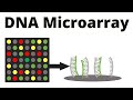 DNA Microarray (DNA chip) technique