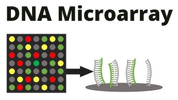 DNA Microarray (DNA chip) technique