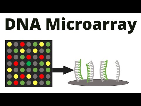 DNA Microarray (DNA chip) technique