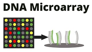 DNA Microarray (DNA chip) technique