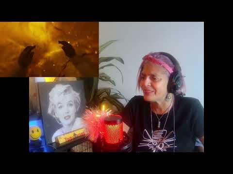 Genius!!! Reacting To Lunatic Lullaby-Inpatient (Ren x Chris Webby)