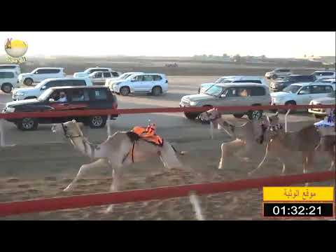 الشوط 2 ابوظبي ل علي سالم المنصوري شارة الصندوق السبت 2019 3 9 الوثبة فطامين