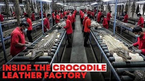 Inside the Crocodile-Leather Factory: From Raw Hide to Luxury Jacket (Full Process)