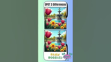 Spot The Difference: Sharp Eyes Only!