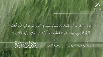 القارئ الشيخ خليفة الطنيجي - سورة الزمر