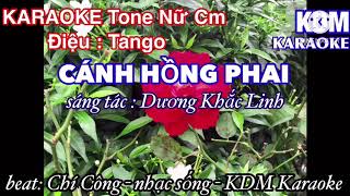 KARAOKE CÁNH HỒNG PHAI TANGO Tone nữ thấp kdm karaoke