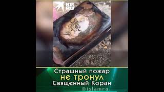 Страшный пожар не тронул Священный Коран