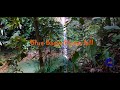 Viewcations caribbean destination  blue basin waterfall  trinidad