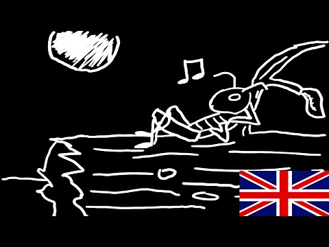 A cricket in the stream - An animated haiku - English Version