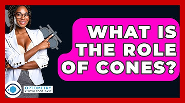 What Is The Role Of Cones? - Optometry Knowledge Base