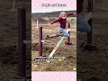 A moment of interaction between a person and a horse