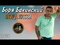 Боря Бакинский - Птица любви - Бомба песня !