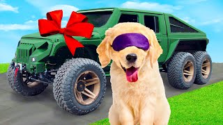 Surprising My PUPPY With 6x6 MONSTER TRUCK! by Moose TV 5,272 views 6 months ago 6 minutes, 49 seconds