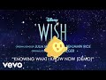 Julia Michaels - Knowing What I Know Now (Demo) (From "Wish"/Audio Only)