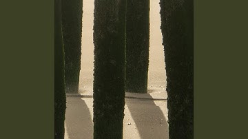 12-Year Revolutions (12-Year Goodbyes)